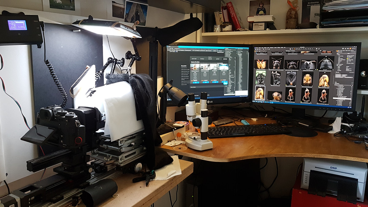 Vue du micro-studio aménagé pour réaliser mes macrophotographies