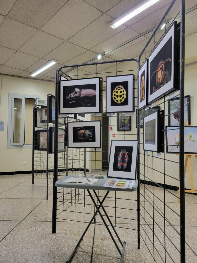 Tirages photos exposés au festival de Vendargues