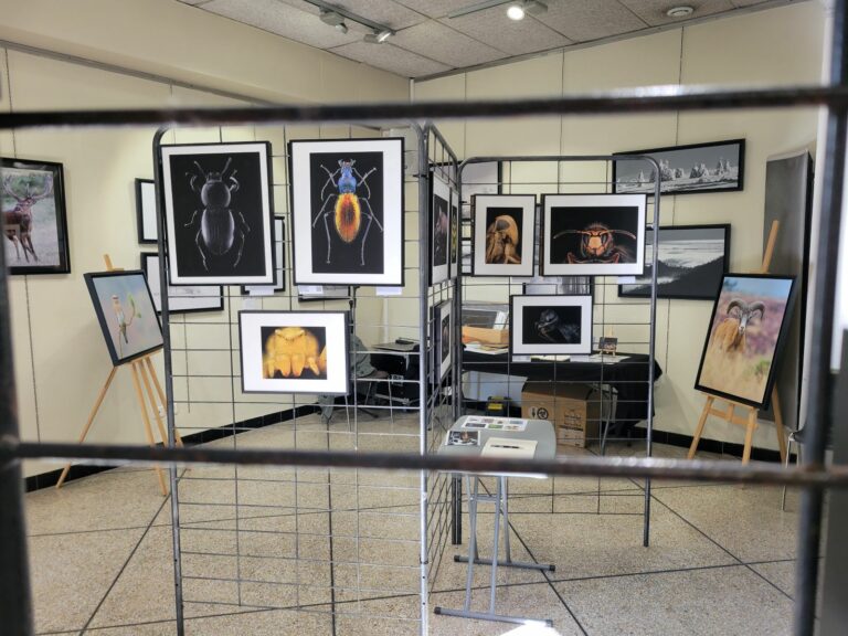 Tirages photos exposés au festival de Vendargues